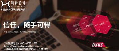 和数软件 以区块链技术重塑数字文创，构建信任与确权新生态